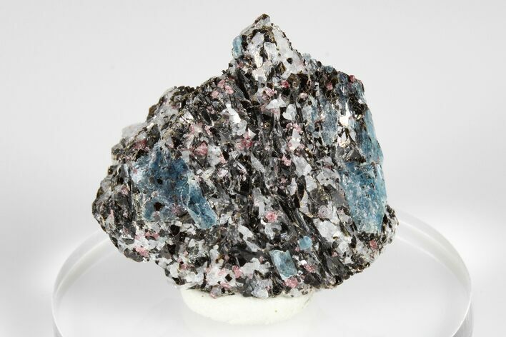 Blue Kyanite & Garnet in Biotite-Quartz Schist - Russia #178930